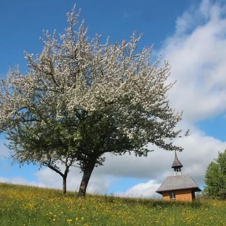 Apartamento Gaestehaus Holzer Kreuz - 